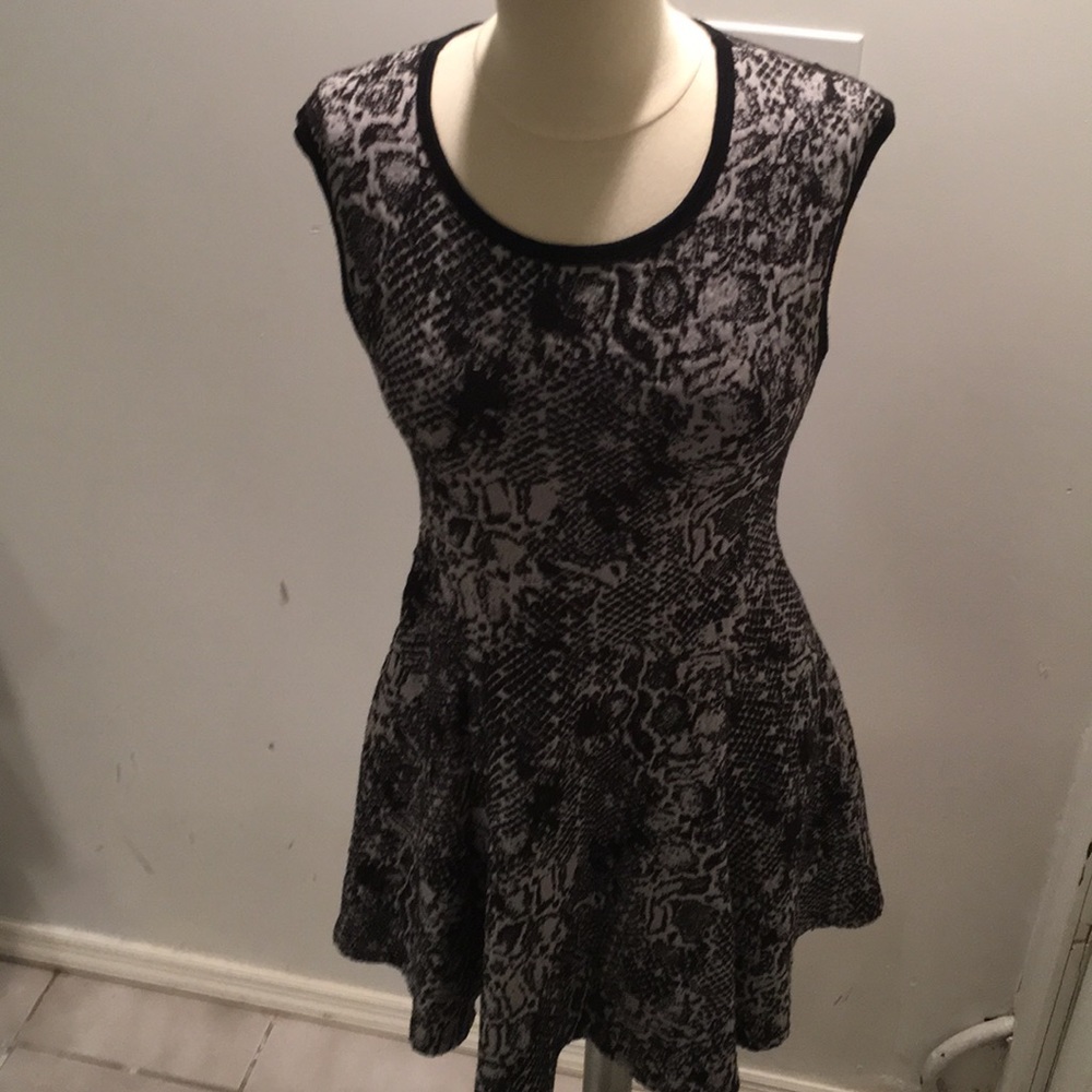 Eight Sixty Snake Print Fit and Flare Dress